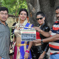 Junction Lo Jayamalini Movie Opening Stills | Picture 1144109