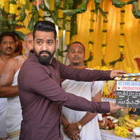 Jr. NTR - NTR and Koratala Siva Movie Launch Stills | Picture 1145822