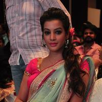 Deeksha Panth at Sankarabharanam Movie Audio Launch Photos | Picture 1148646