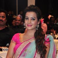 Deeksha Panth at Sankarabharanam Movie Audio Launch Photos | Picture 1148665