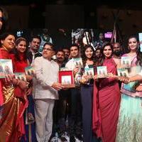 Sankarabharanam Movie Audio Launch Stills | Picture 1149417