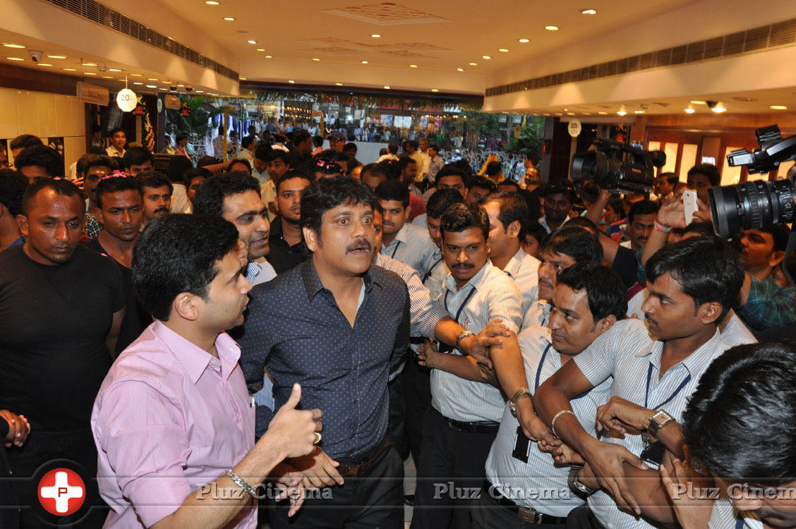 Nagarjuna Launches Kalyan Jewellers Showroom Photos | Picture 1110428