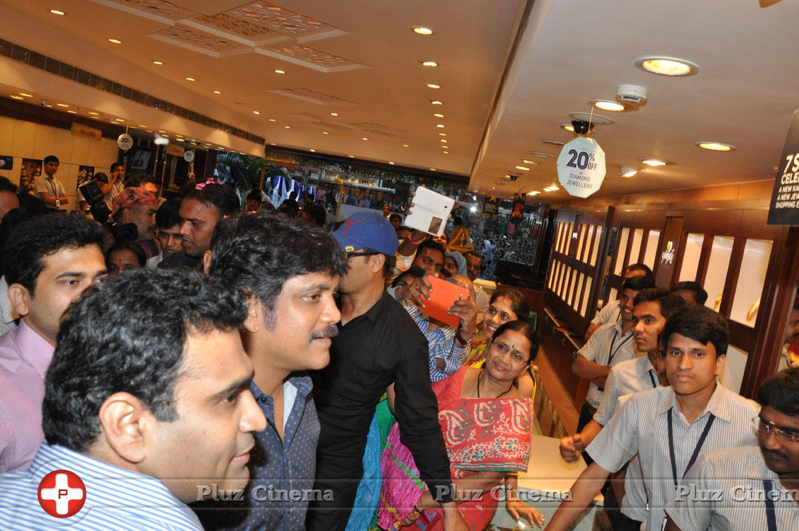 Nagarjuna Launches Kalyan Jewellers Showroom Photos | Picture 1110438