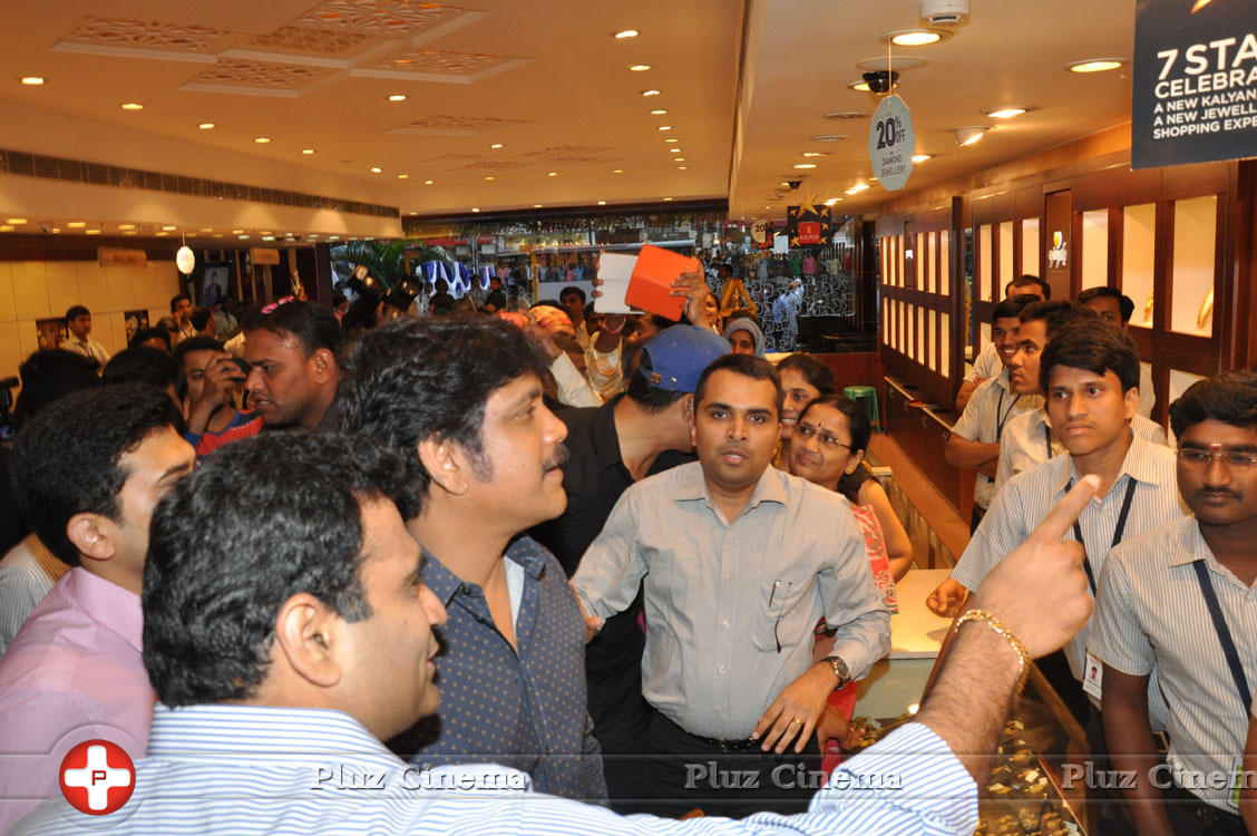 Nagarjuna Launches Kalyan Jewellers Showroom Photos | Picture 1110439