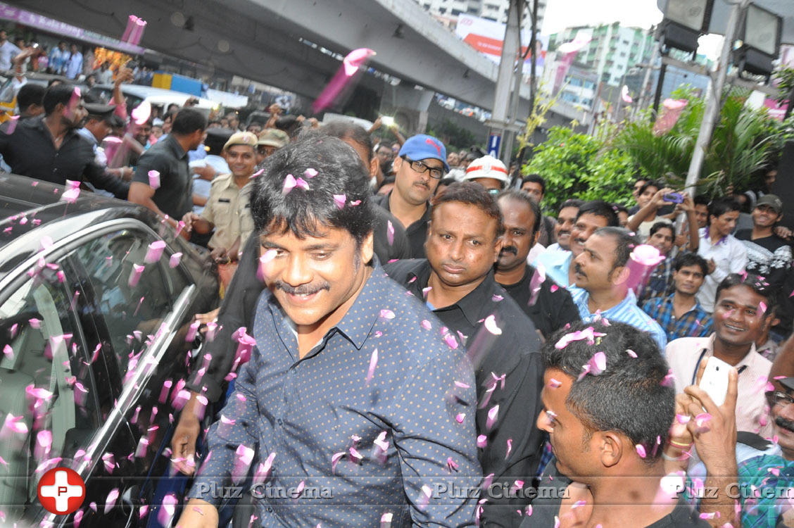 Nagarjuna Launches Kalyan Jewellers Showroom Photos | Picture 1110478