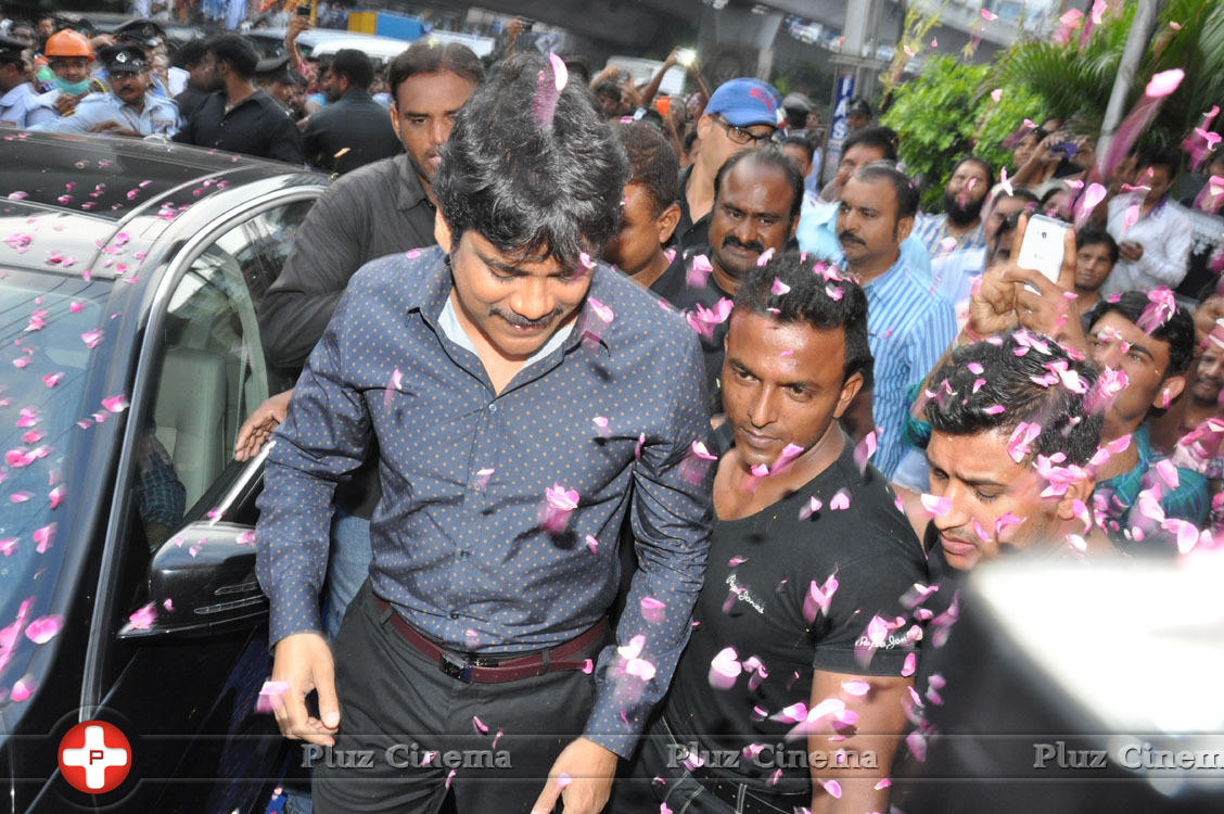 Nagarjuna Launches Kalyan Jewellers Showroom Photos | Picture 1110479