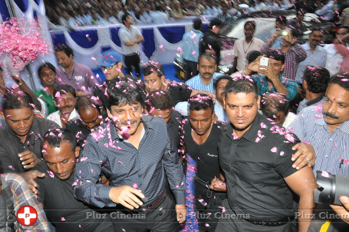 Nagarjuna Launches Kalyan Jewellers Showroom Photos | Picture 1110485