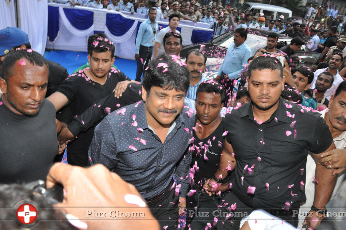 Nagarjuna Launches Kalyan Jewellers Showroom Photos | Picture 1110486