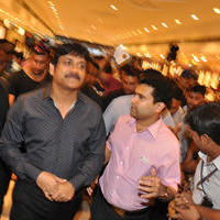 Nagarjuna Launches Kalyan Jewellers Showroom Photos | Picture 1110432