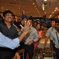 Nagarjuna Launches Kalyan Jewellers Showroom Photos | Picture 1110441