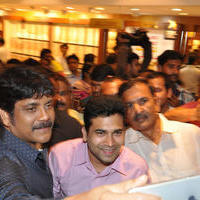 Nagarjuna Launches Kalyan Jewellers Showroom Photos | Picture 1110444