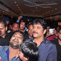 Nagarjuna Launches Kalyan Jewellers Showroom Photos | Picture 1110461