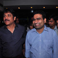 Nagarjuna Launches Kalyan Jewellers Showroom Photos | Picture 1110462