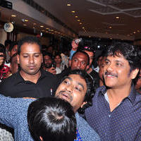 Nagarjuna Launches Kalyan Jewellers Showroom Photos | Picture 1110463