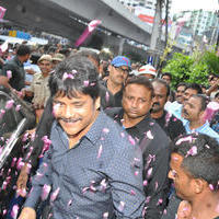 Nagarjuna Launches Kalyan Jewellers Showroom Photos | Picture 1110478