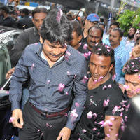 Nagarjuna Launches Kalyan Jewellers Showroom Photos | Picture 1110479