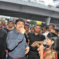 Nagarjuna Launches Kalyan Jewellers Showroom Photos | Picture 1110488