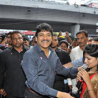 Nagarjuna Launches Kalyan Jewellers Showroom Photos | Picture 1110492