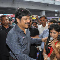 Nagarjuna Launches Kalyan Jewellers Showroom Photos | Picture 1110493