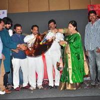 Sithara Movie Audio Launch Photos | Picture 1110323