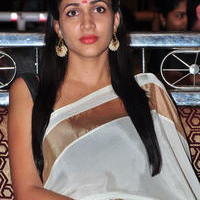Lavanya Tripathi - Bhale Bhale Magadivoy Movie Success Meet at Vijayawada Photos | Picture 1114386