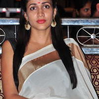 Lavanya Tripathi - Bhale Bhale Magadivoy Movie Success Meet at Vijayawada Photos | Picture 1114387