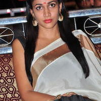 Lavanya Tripathi - Bhale Bhale Magadivoy Movie Success Meet at Vijayawada Photos | Picture 1114394
