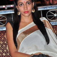 Lavanya Tripathi - Bhale Bhale Magadivoy Movie Success Meet at Vijayawada Photos | Picture 1114395