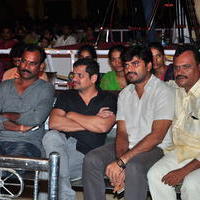Bhale Bhale Magadivoy Movie Success Meet at Vijayawada Photos | Picture 1114402