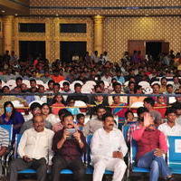 Bhale Bhale Magadivoy Movie Success Meet at Vijayawada Photos | Picture 1114447