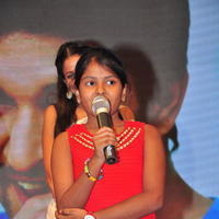 Bhale Bhale Magadivoy Movie Success Meet at Vijayawada Photos | Picture 1114735