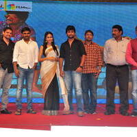 Bhale Bhale Magadivoy Movie Success Meet at Vijayawada Photos | Picture 1114743