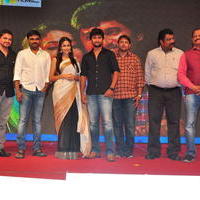 Bhale Bhale Magadivoy Movie Success Meet at Vijayawada Photos | Picture 1114745