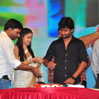 Bhale Bhale Magadivoy Movie Success Meet at Vijayawada Photos | Picture 1114749