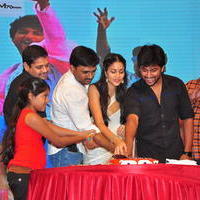 Bhale Bhale Magadivoy Movie Success Meet at Vijayawada Photos | Picture 1114750