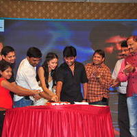 Bhale Bhale Magadivoy Movie Success Meet at Vijayawada Photos | Picture 1114753