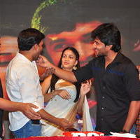 Bhale Bhale Magadivoy Movie Success Meet at Vijayawada Photos | Picture 1114757