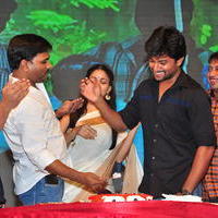 Bhale Bhale Magadivoy Movie Success Meet at Vijayawada Photos | Picture 1114758