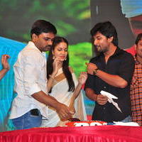 Bhale Bhale Magadivoy Movie Success Meet at Vijayawada Photos | Picture 1114759