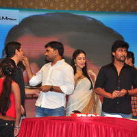 Bhale Bhale Magadivoy Movie Success Meet at Vijayawada Photos | Picture 1114761