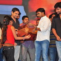 Bhale Bhale Magadivoy Movie Success Meet at Vijayawada Photos | Picture 1114777