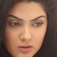 Sakshi Choudhary Latest Gallery | Picture 1117360