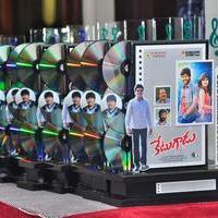 Ketugadu Movie Triple Platinum Disc Function Stills | Picture 1117368
