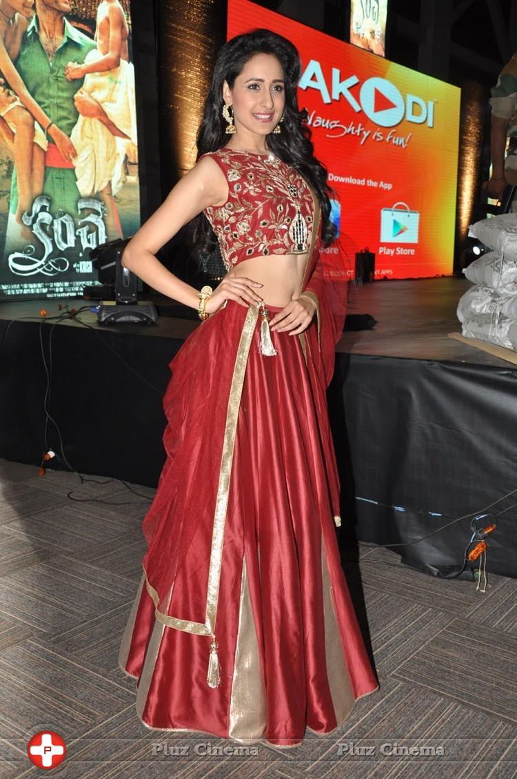 Pragya Jaiswal at Kanche Movie Audio Launch Stills | Picture 1118369