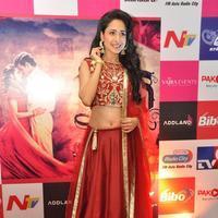Pragya Jaiswal at Kanche Movie Audio Launch Stills | Picture 1118381