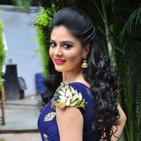 Sree Mukhi at Chandrika Movie Press Meet Photos | Picture 1122639