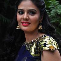 Sree Mukhi at Chandrika Movie Press Meet Photos | Picture 1122657