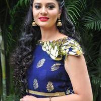 Sree Mukhi at Chandrika Movie Press Meet Photos | Picture 1122676