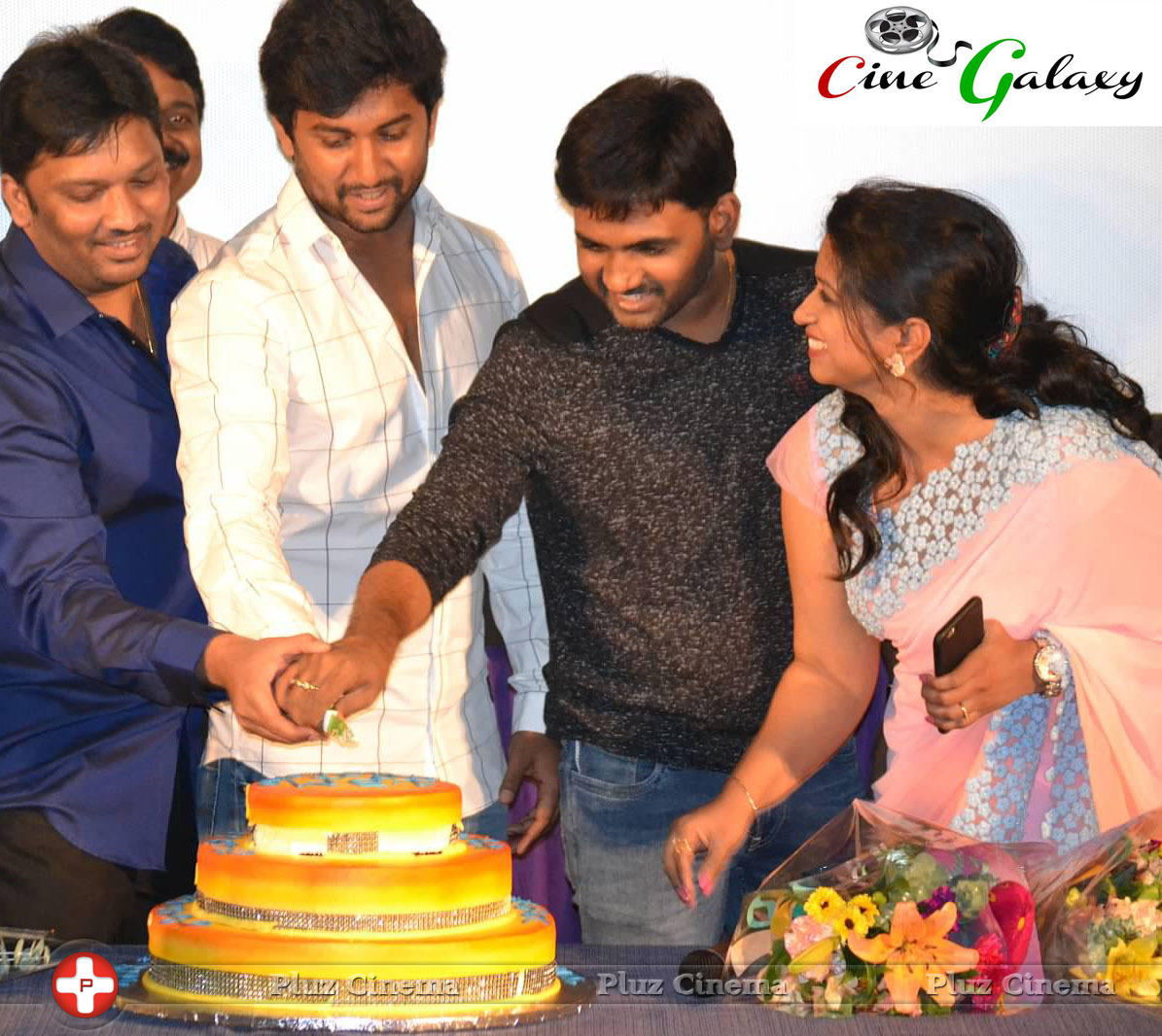 Bhale Bhale Magadivoy Movie Success Meet in USA Photos | Picture 1123463