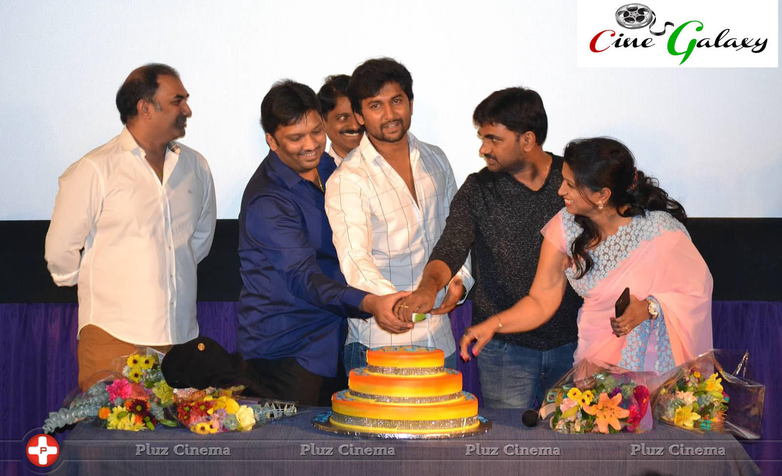 Bhale Bhale Magadivoy Movie Success Meet in USA Photos | Picture 1123468